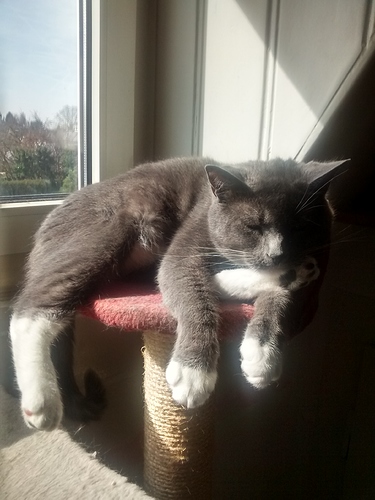 IMG_20170313_113428060_HDR