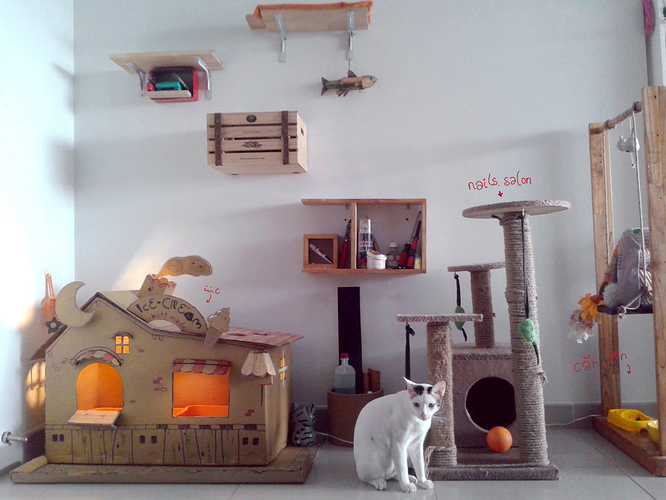 11059458_10207395738631020_3191865582417861500_o