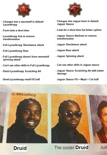 druidvsjaguar