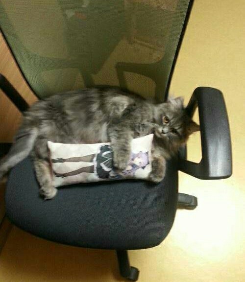 26047311_411343759293153_5244985787719640613_n