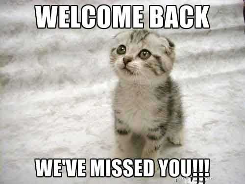 welcome-back-meme-idlememe