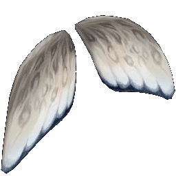 icon_item_wing_moth