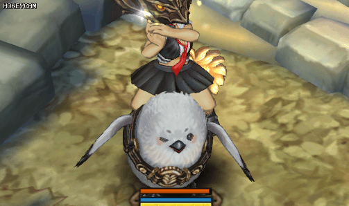 birddancei15183243732